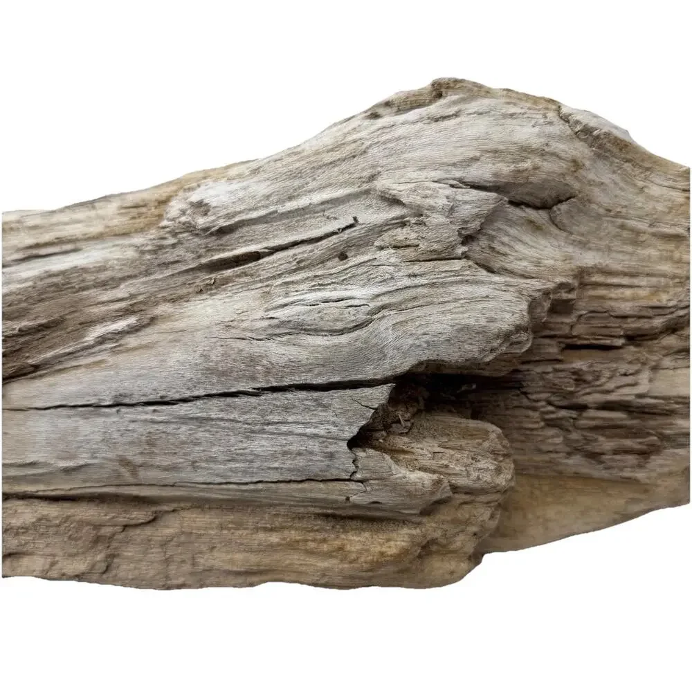 Large White Weathered Driftwood Log Sculpture – Natural Coastal Decor Statement